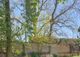 20250429_130239.jpg